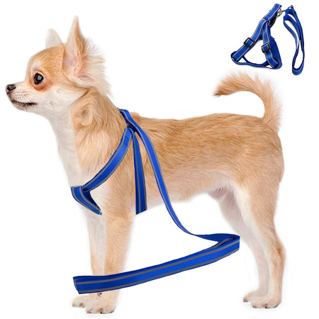 Dog fit + lanyard col 2,5 cm