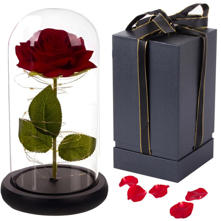 Věčná růže ve skle červená vedla dárek svítící pro příležitost pro ženy