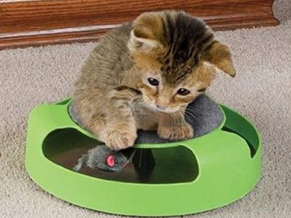 Kočičí hračka myš na kolečkách škrabadlo myš