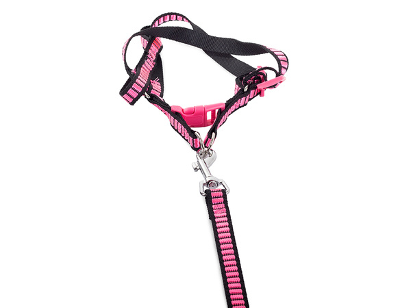 Lanyard s harmlesses dog-cat strip strong 1,5 cm