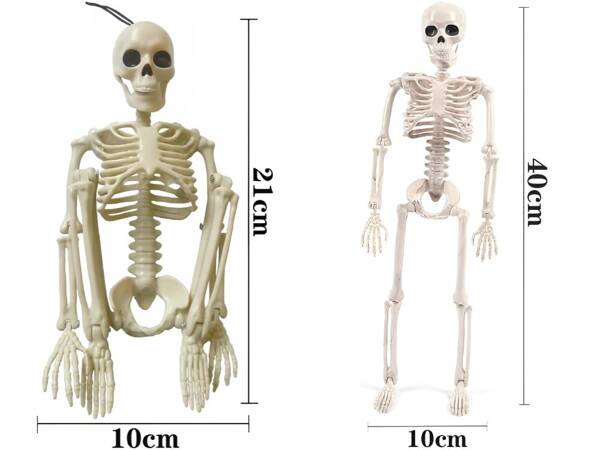 Lidská kostra visící 40cm halloweenská dekorace umělá kostra