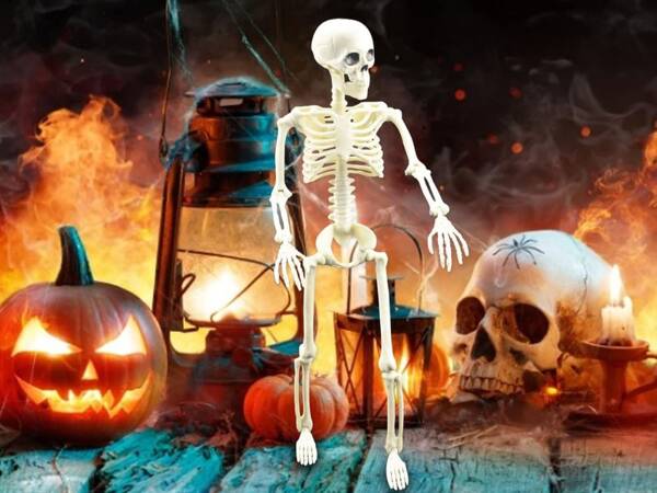 Lidská kostra visící 40cm halloweenská dekorace umělá kostra