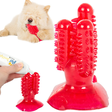 Dog chew toothbrush cactus for dogs