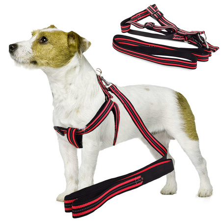 Dog fit + reflective leash 2.5cm