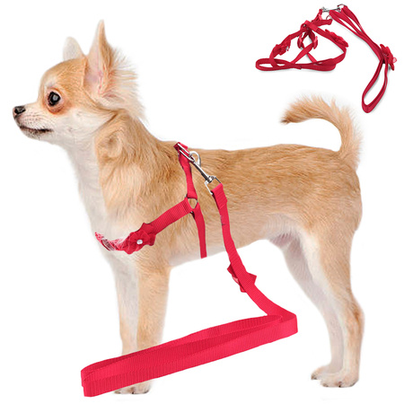 Harness leash for dog cat rabbit p1