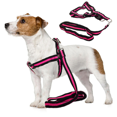 Lanyard with extensible shelters dog-cat 200cm