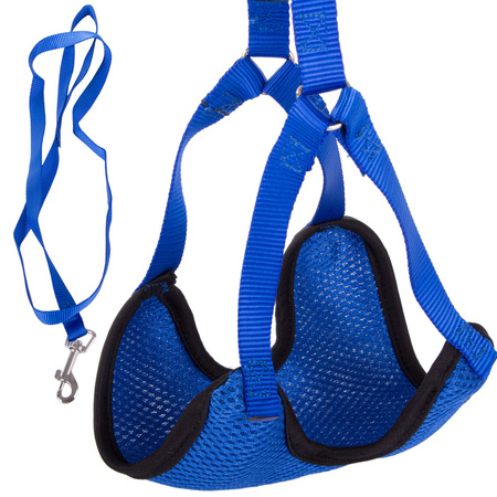 Leash with braces harness lightweight for dog cat strong