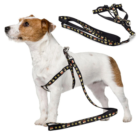 Leash with harness, cat 1.5 cm harness