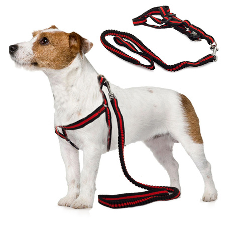 Leash with straps stretchy dog harness cat