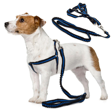 Leash with straps stretchy dog harness cat