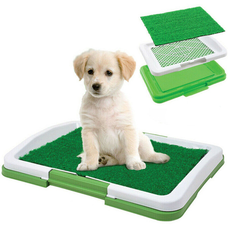 Puppy dog grass litter tray learning mat