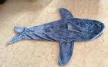 SHARK BLANKET L (30)