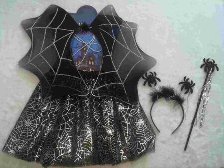 SPIDER COSTUME (120)