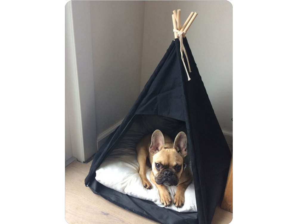 Dog teepee -  France