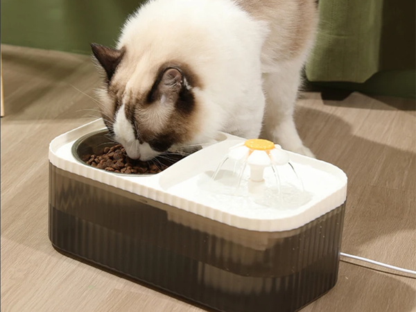 Automatic cat drinker dog water fountain filter food bowl