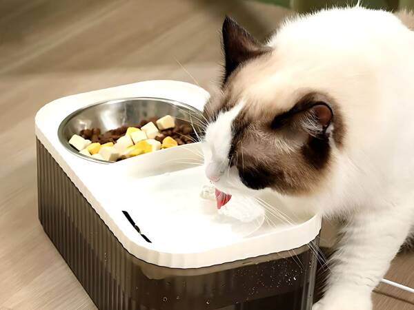 Automatic cat drinker dog water fountain filter food bowl