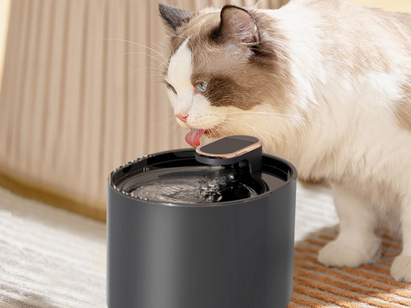 Automatic cat waterer dog water fountain filters water bowl