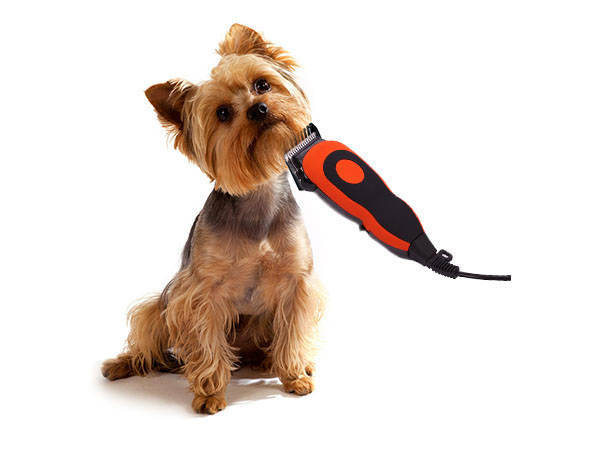 Canine and feline pet clippers