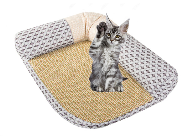 Cat bed sleeping mat scratching post s