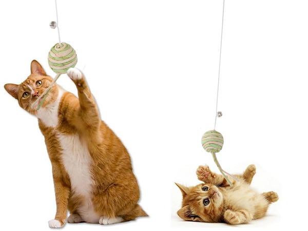 Cat toy fishing rod ball rattle play toy