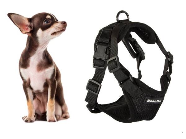 Close-clip walking harness for small dog handle light soft strong s