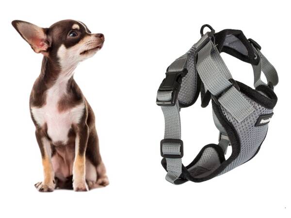 Close-clip walking harness for small dog handle light soft strong s