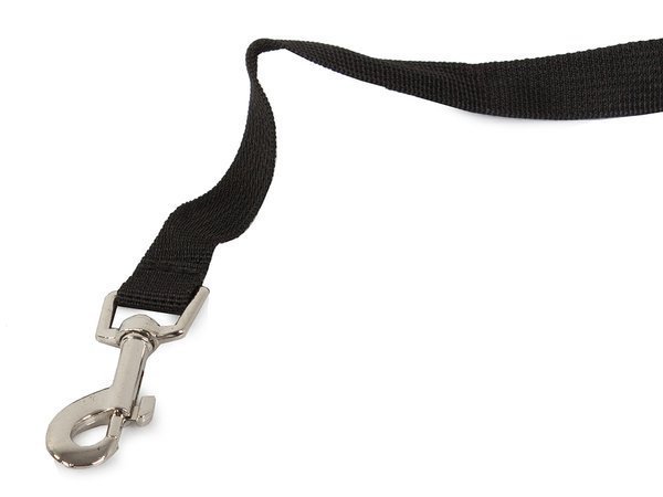 Dog-cat leash with water bowl bag drinker