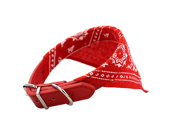 Dog collar with bandanna for dog cat m