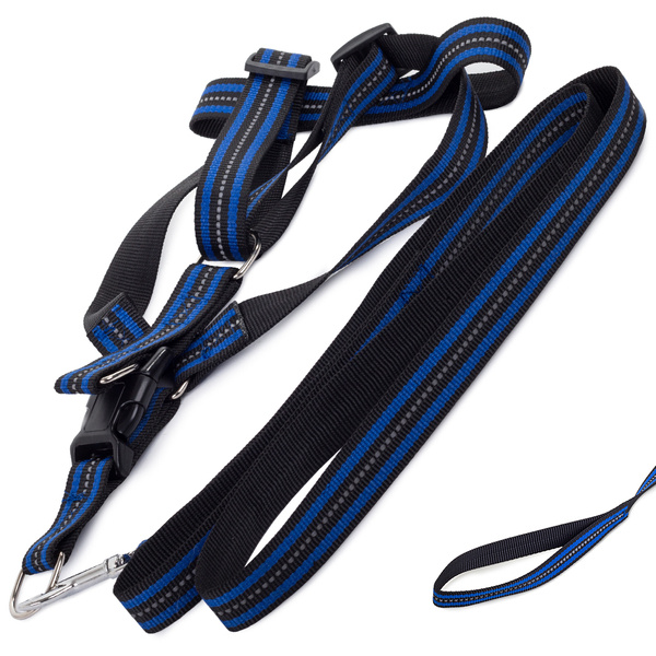 Dog fit + reflective leash 2.5cm