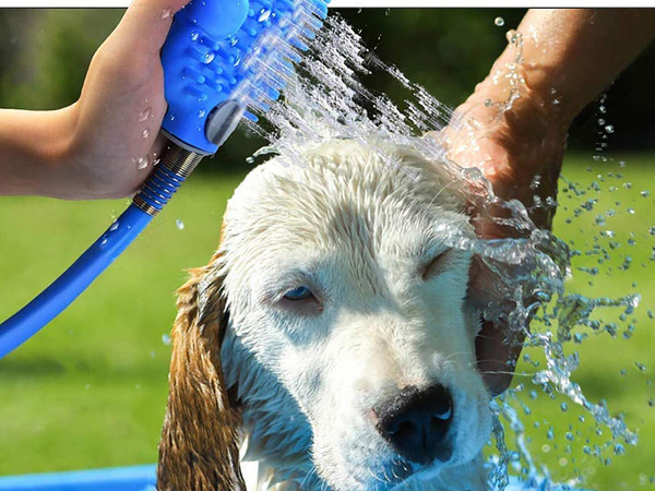 Dog wash cat brush dog wash hose