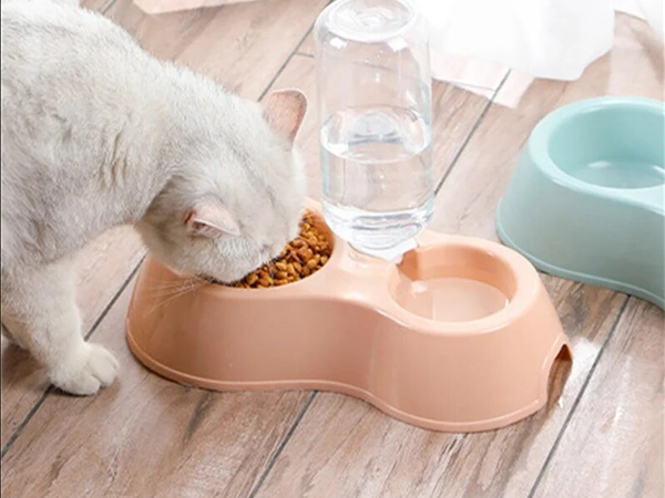 Double water bowl with dispenser for dog cat