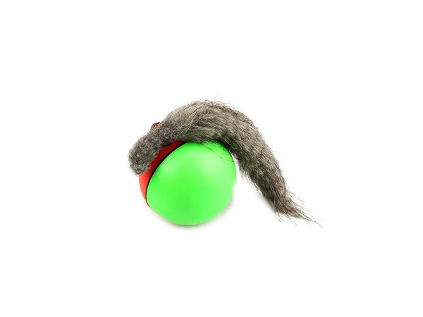 Ferret running ball runaway cat toy