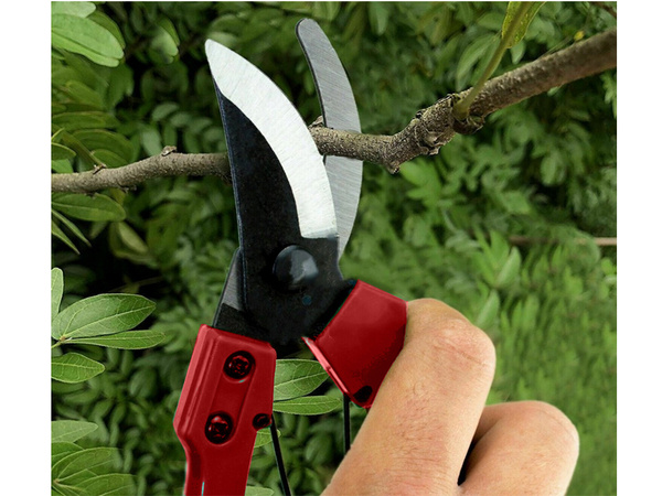 Hand pruning shear for shrubs pruning shears for plants