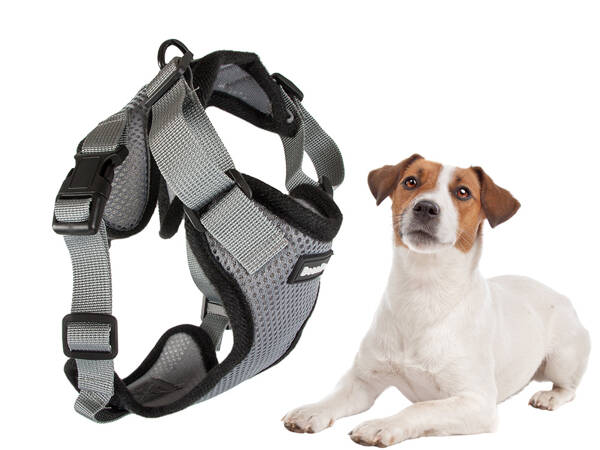 Harness for dog walk light soft strong l