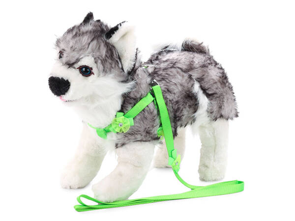 Harness leash for dog cat rabbit p1