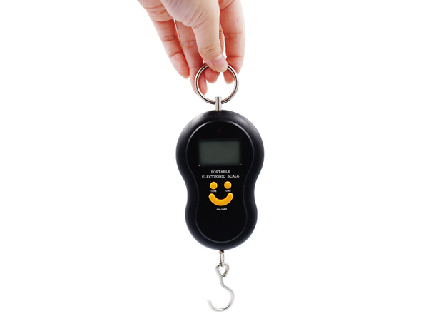 Hook-and-leave travel scale lcd 50kg