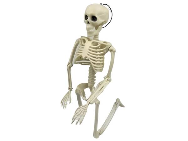 Human skeleton hanging 40cm halloween decoration artificial skeleton