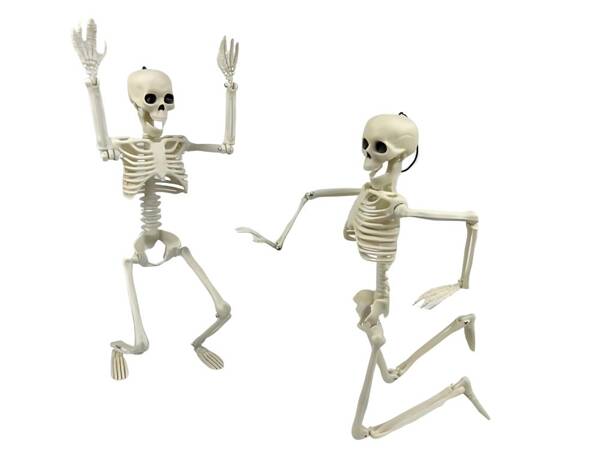 Human skeleton hanging 40cm halloween decoration artificial skeleton