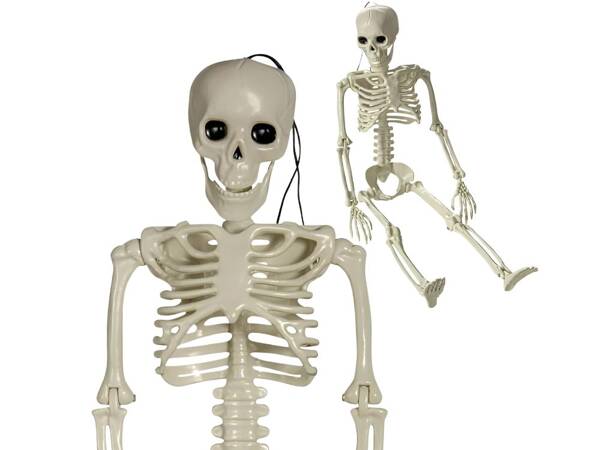 Human skeleton hanging 40cm halloween decoration artificial skeleton