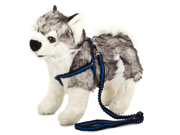 Lanyard with extendable shelters dog-cat 125cm