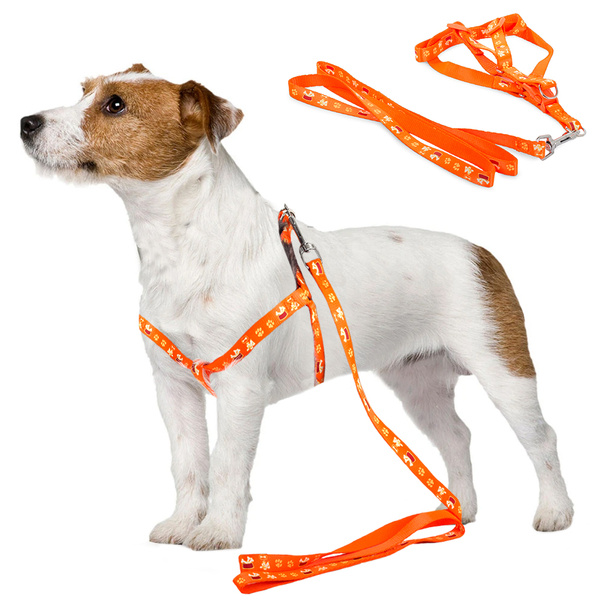 Lanyard with restrainers dog-cat harness sturdy 125cm