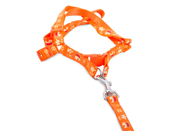 Lanyard with restrainers dog-cat harness sturdy 125cm