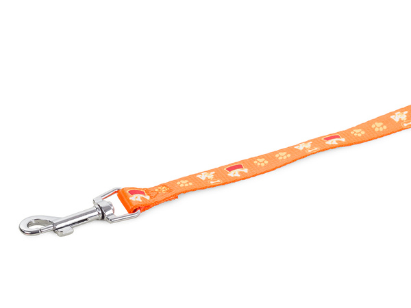 Lanyard with restrainers dog-cat harness sturdy 125cm