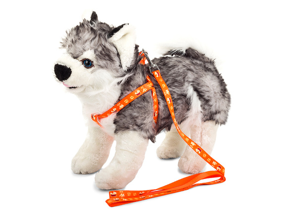 Lanyard with restrainers dog-cat harness sturdy 125cm