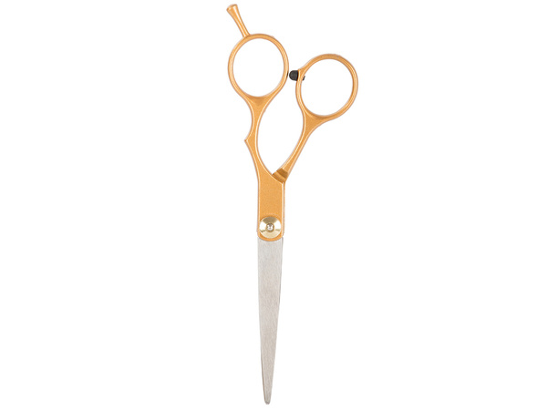 Professional hairdressing scissors