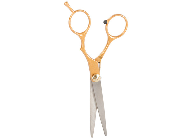 Professional hairdressing scissors