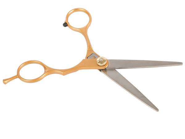 Professional hairdressing scissors