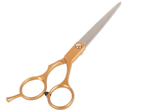 Professional hairdressing scissors