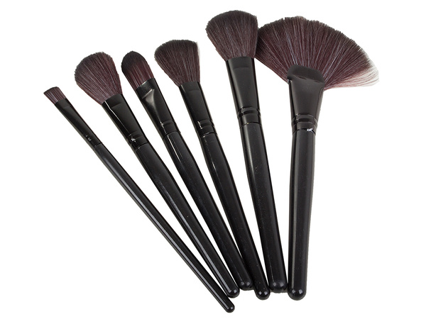 Set of 24 professional make-up brushes case