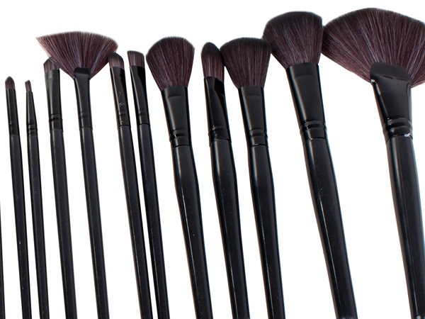 Set of 24 professional make-up brushes case